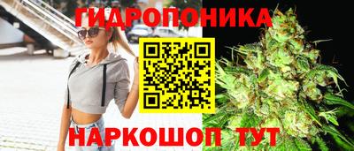 соль ск Гусь-Хрустальный