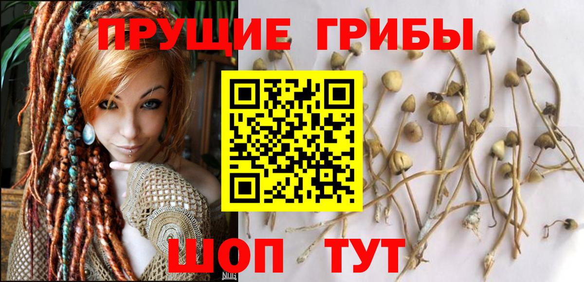 Псилоцибиновые грибы MAGIC MUSHROOMS Киреевск
